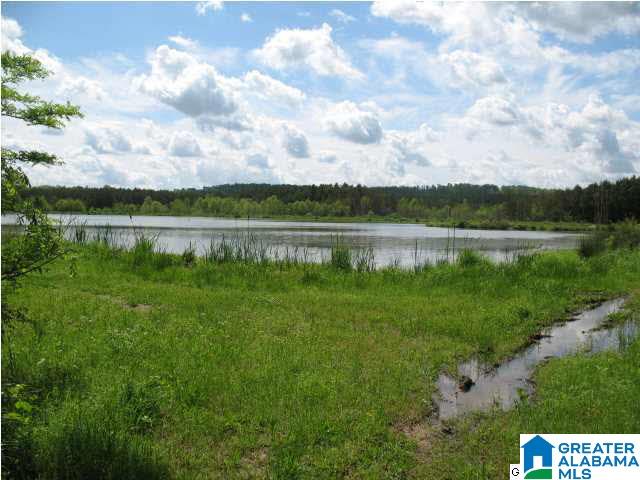 Pinedale Road, Unit 3 Ashville, AL 35953 - Photo 9 of 11