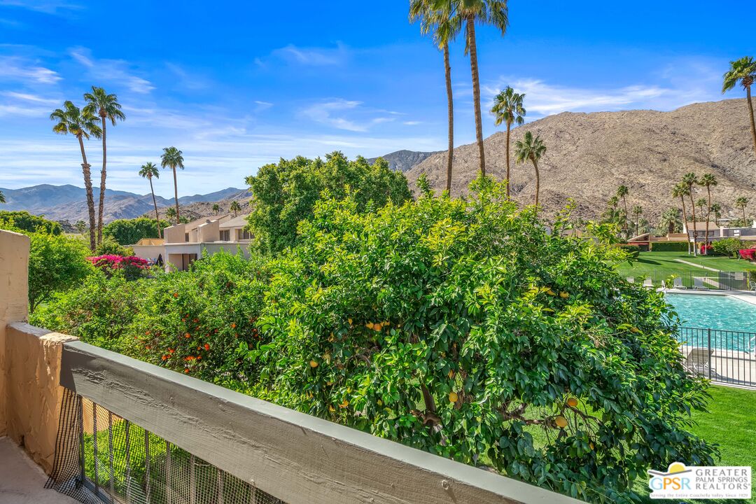 2029 Ramitas Way Palm Springs, CA 92264 - Photo 25 of 41 a view of a garden with a tree in a backyard