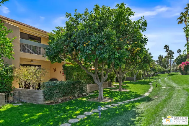 a view of a big yard with plants and large trees