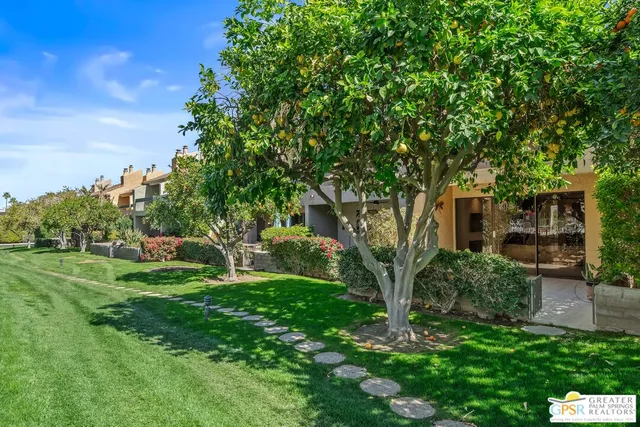 a view of a backyard with couches with large trees