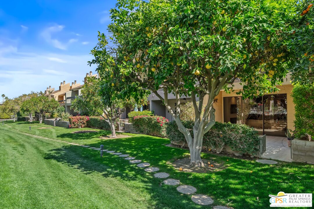 2029 Ramitas Way Palm Springs, CA 92264 - Photo 33 of 41 a view of a backyard with couches with large trees