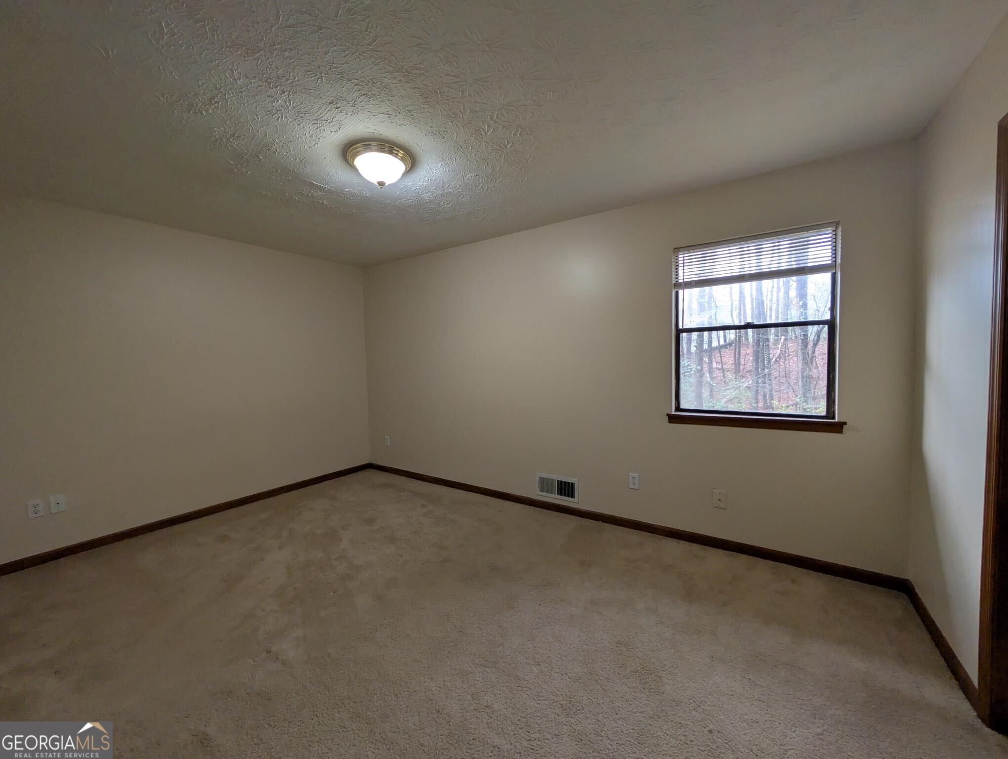 4341 Old Lake Drive Decatur, GA 30034 - Photo 12 of 17