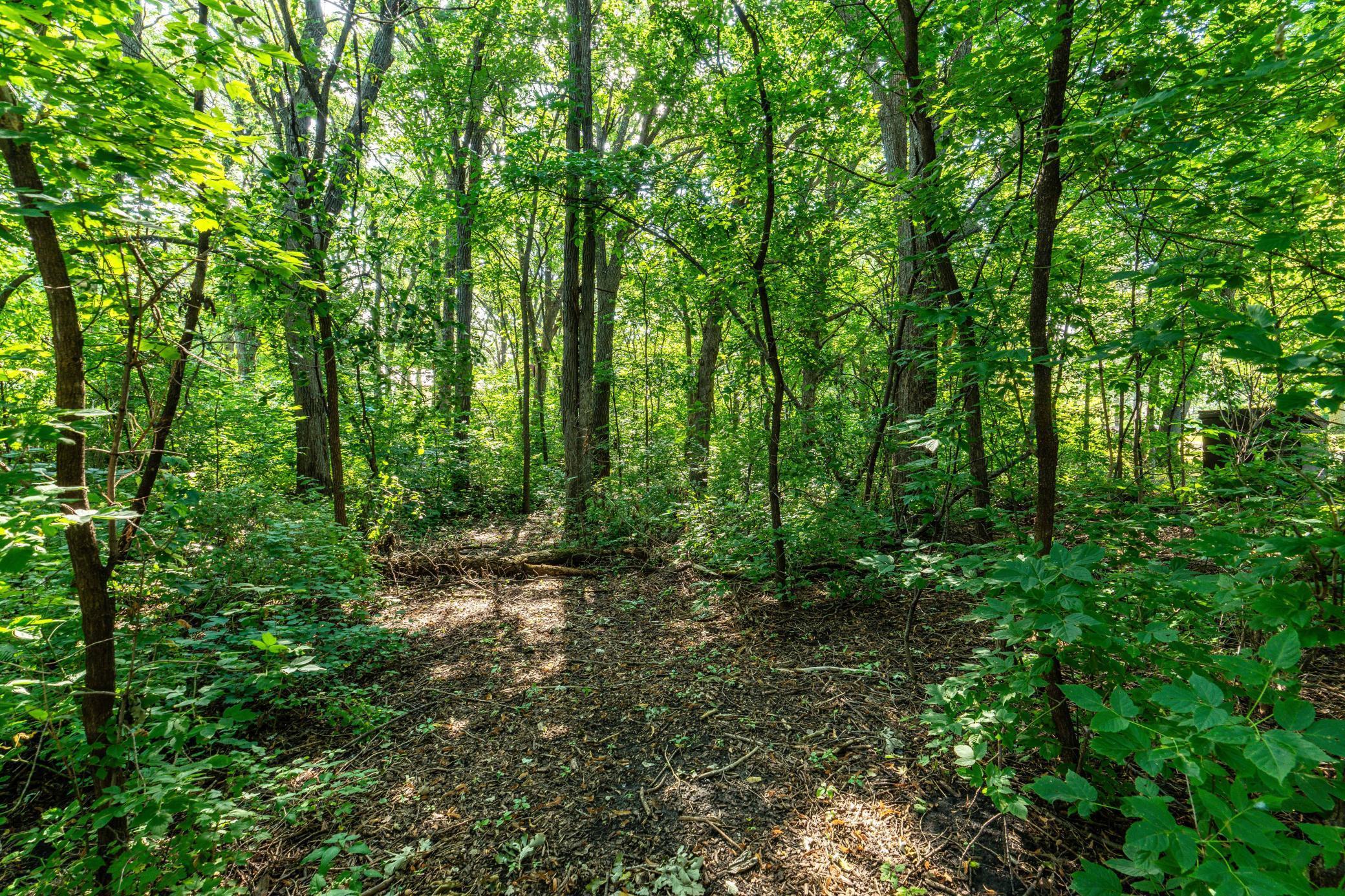 38287 Country Estate Road Battle Lake, MN 56515 - Photo 16 of 66