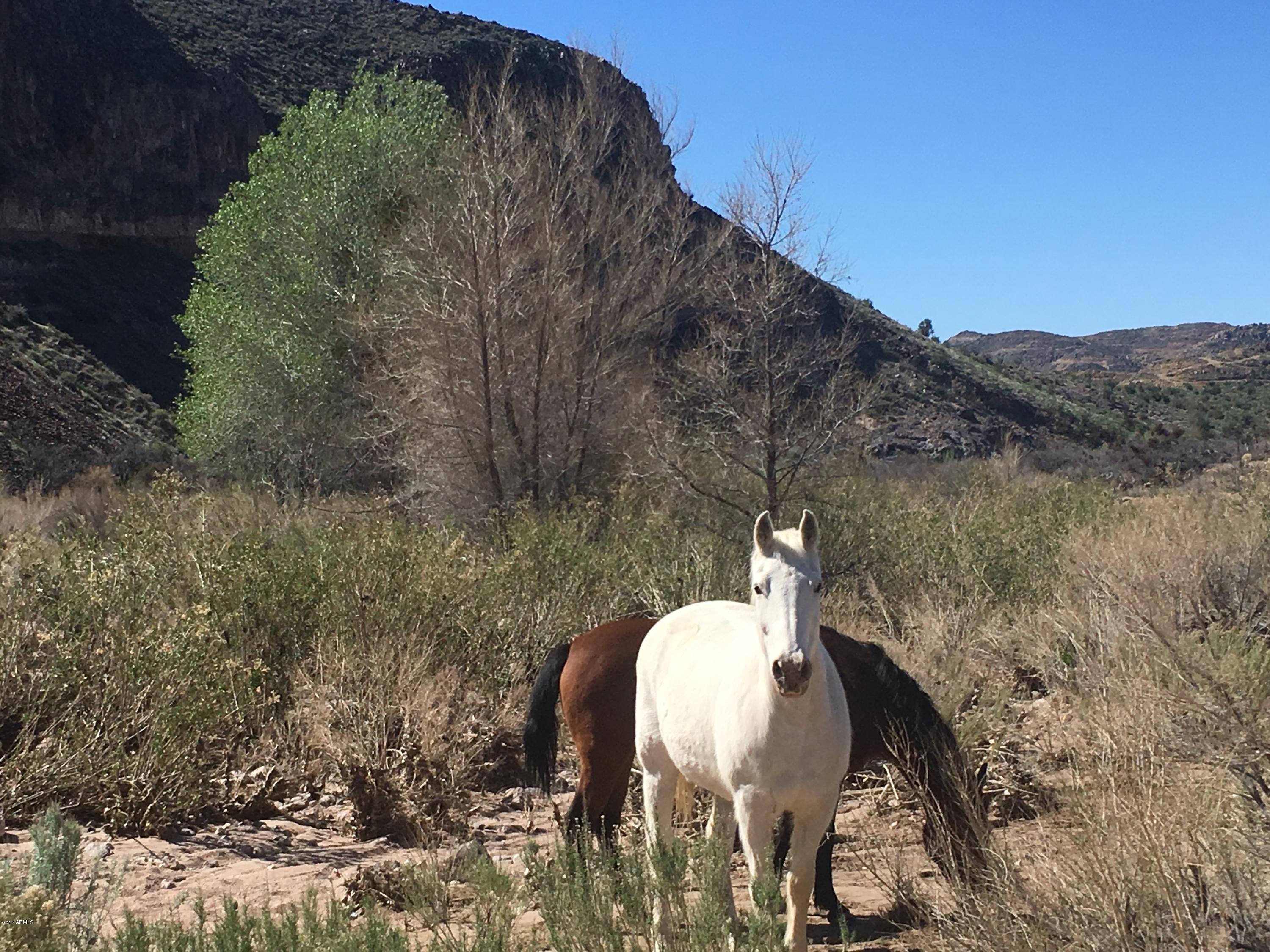 Lot 1 Silver Springs Road, Unit 1 Kingman, AZ 86401 - Photo 22 of 22 IMG_6593