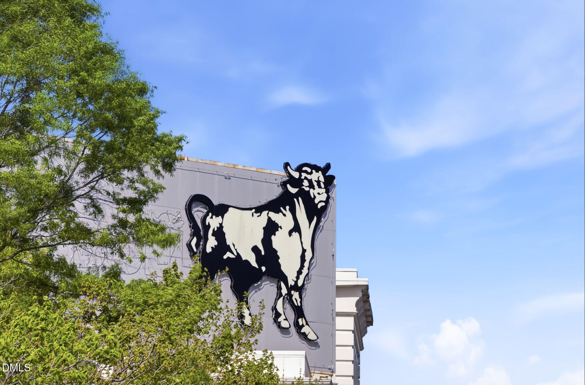 822 Gerard Street Durham, NC 27701 - Photo 34 of 35 41-web-or-mls-DX3A0304