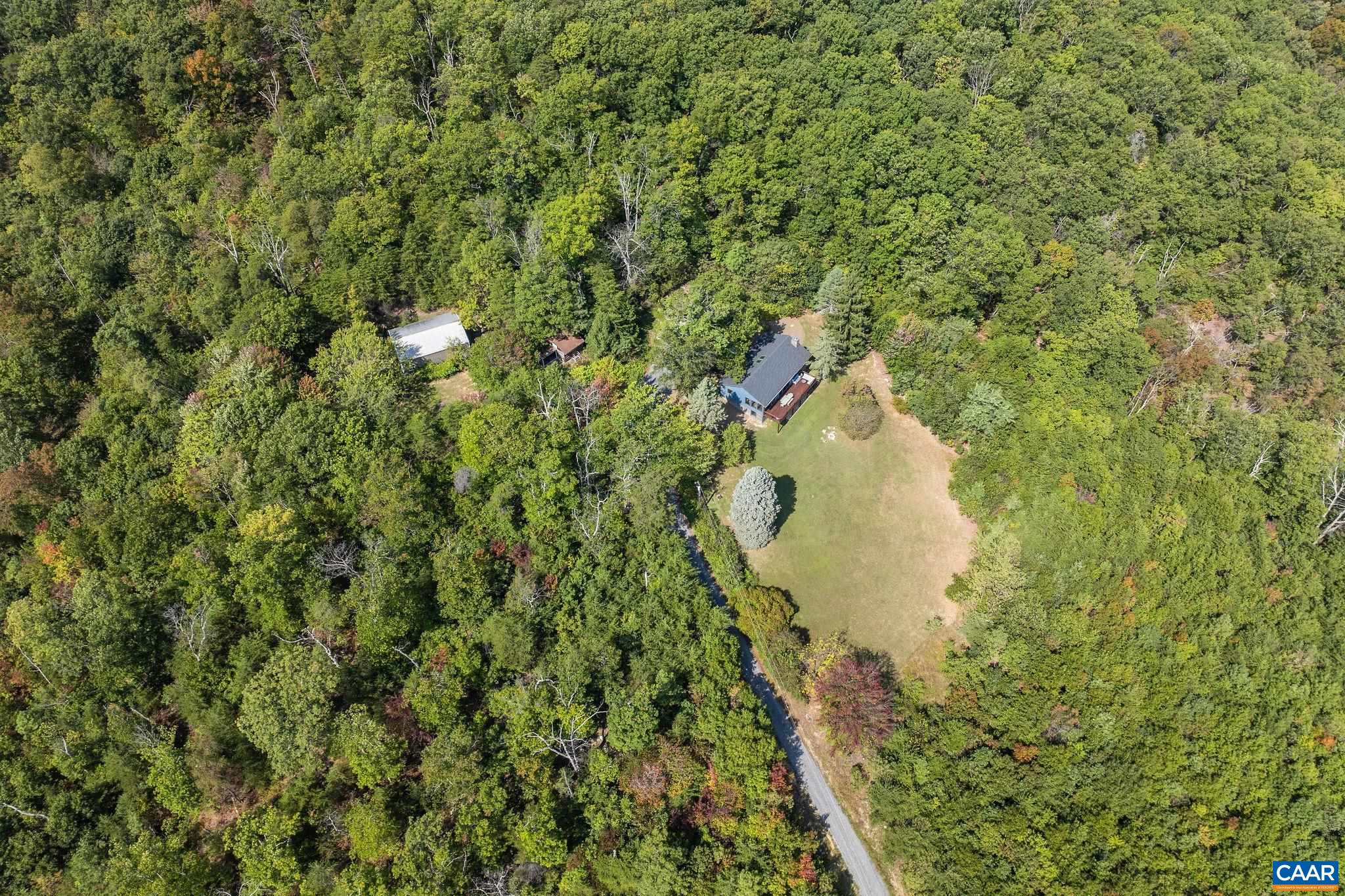 6288 Bryant Hollow Road Elkton, VA 22827 - Photo 50 of 54 a close up of a plant in a yard