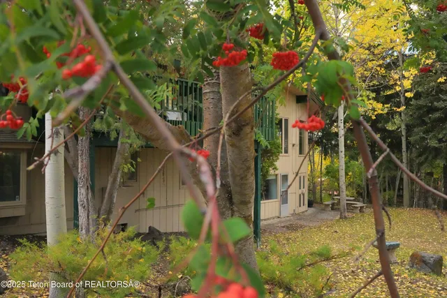 $2,650,000 | 515 Pine Drive, Jackson, WY 83001