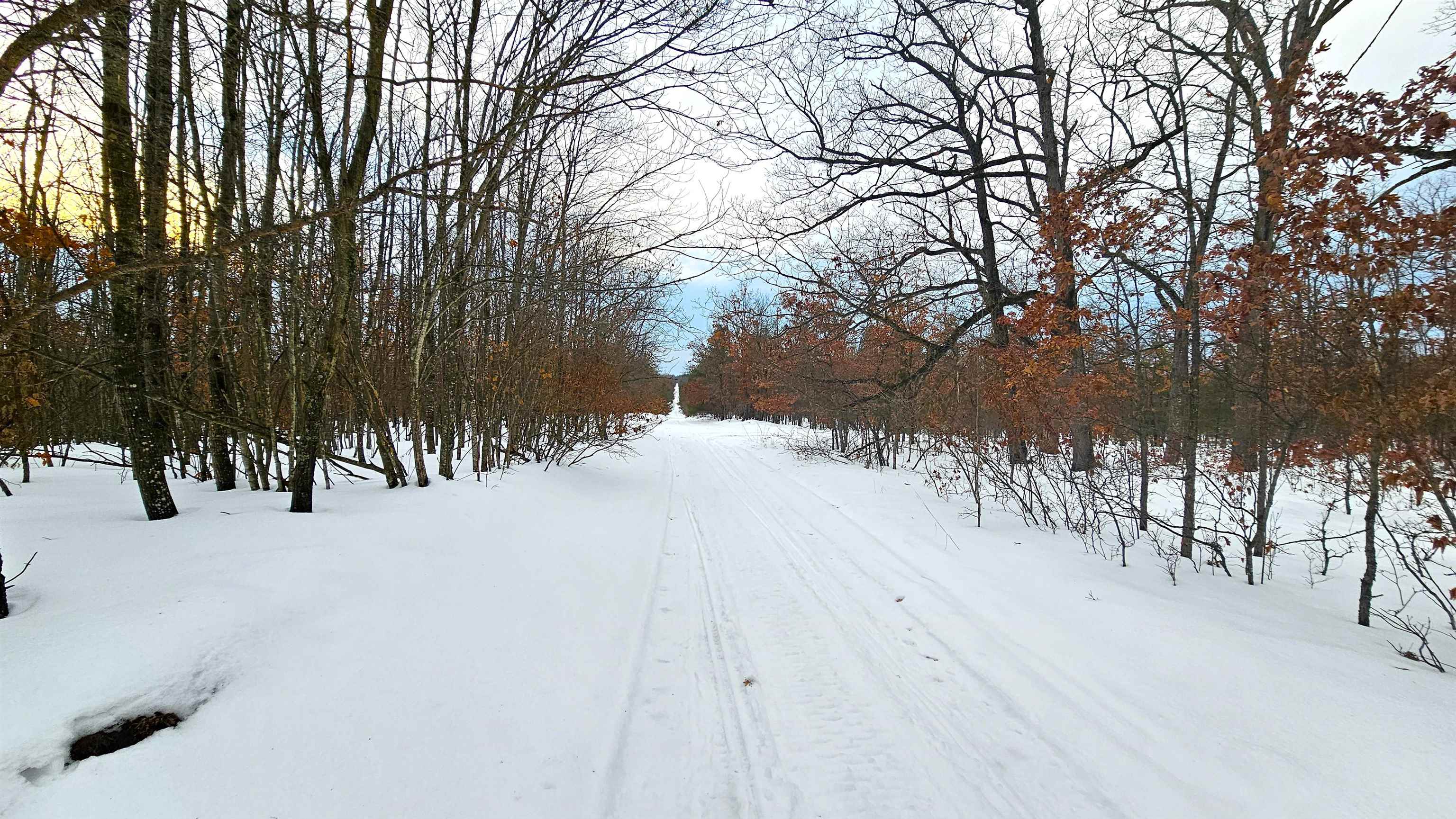 Turney Ranch Trail Branch West Branch, MI 48661 - Photo 8 of 14