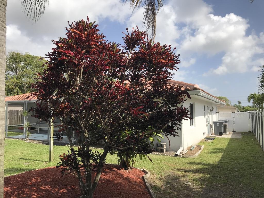 22307 Doran Avenue Boca Raton, FL 33428 - Photo 5 of 25 a view of a yard with plants