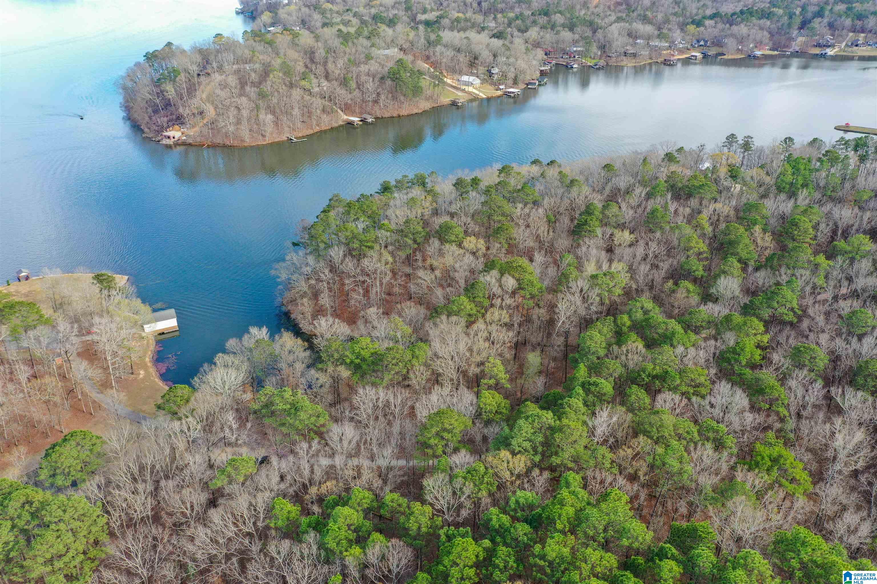 South River Road, Unit LONG Shelby, AL 35143 - Photo 20 of 21