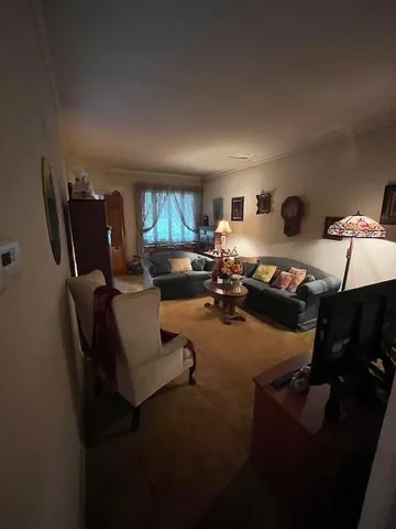 a living room with furniture rug and a window