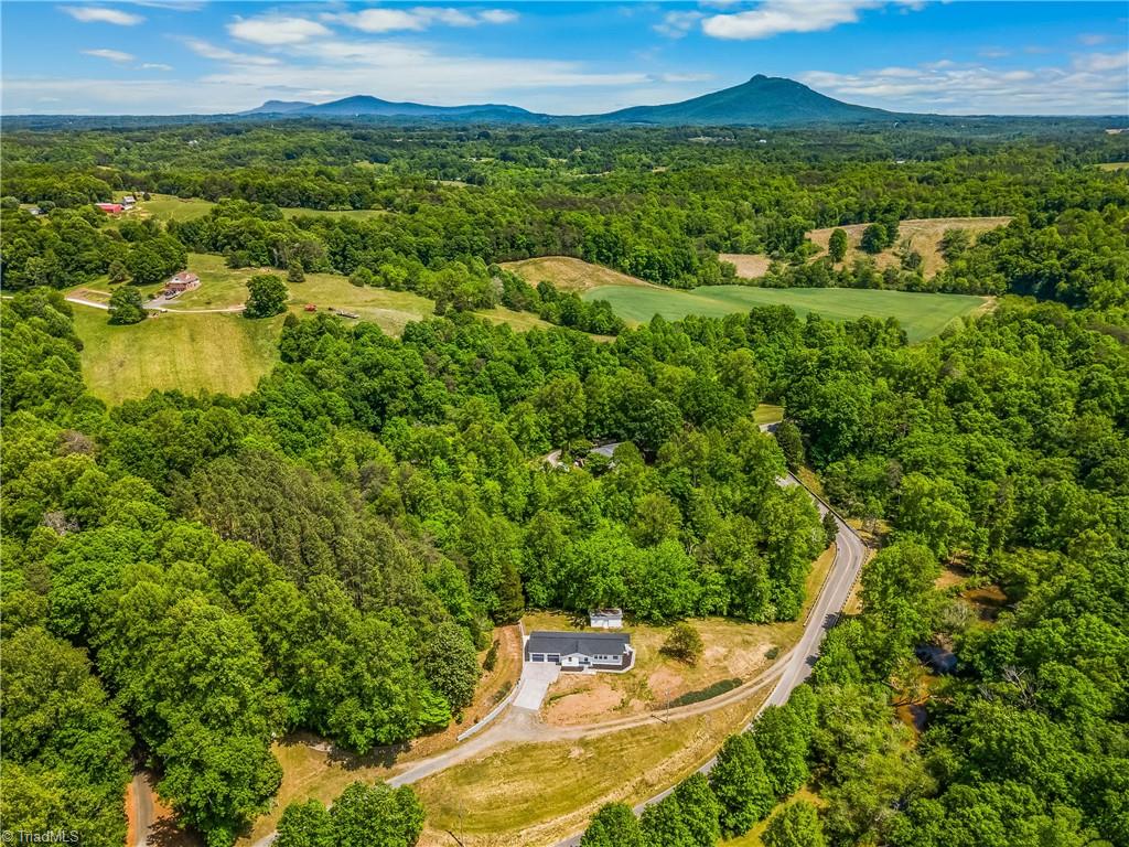 636 Bryant Mill Road Ararat, NC 27007 - Photo 32 of 35