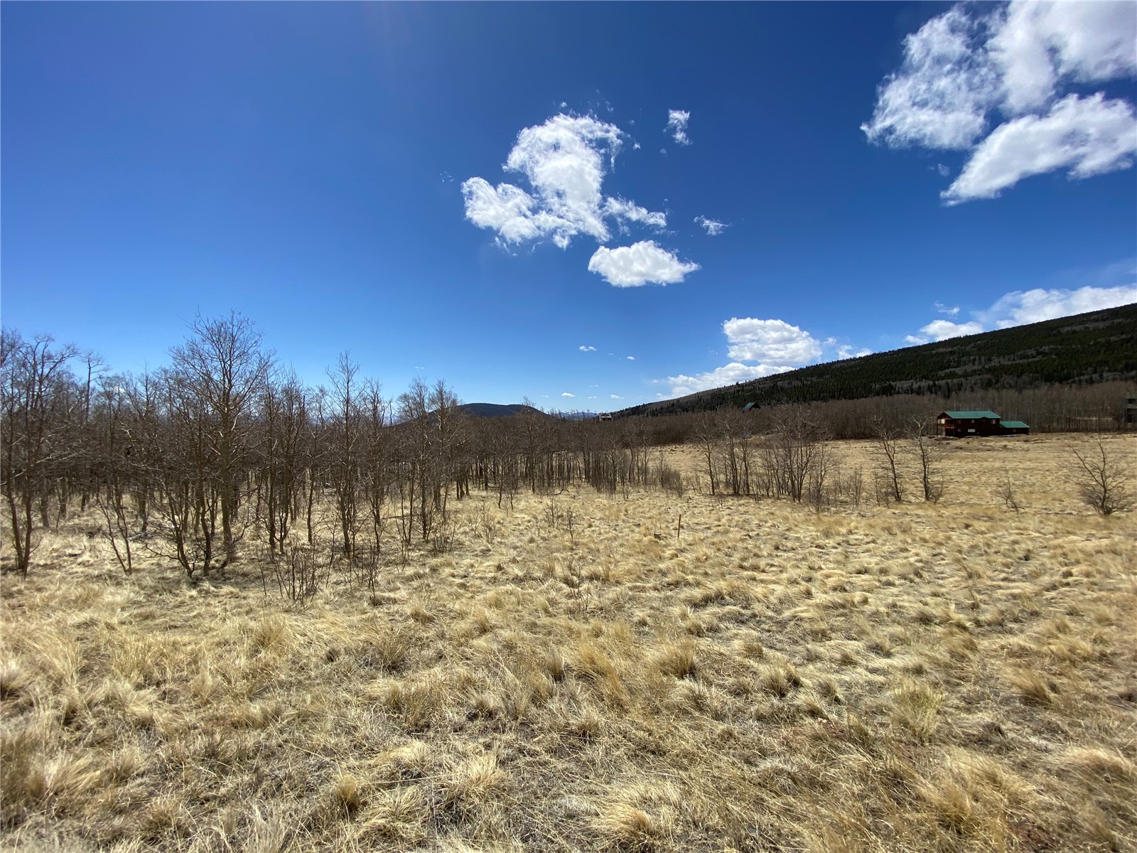 290 Sheep Ridge Road Fairplay, CO 80440 - Photo 27 of 40 Gallery Image 27