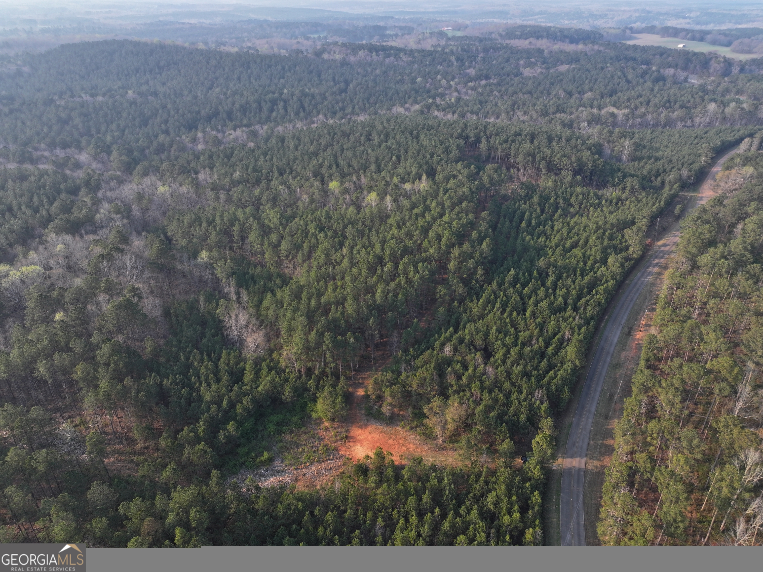117 Acres On Mccosh Mill Road Franklin, GA 30217 - Photo 8 of 24