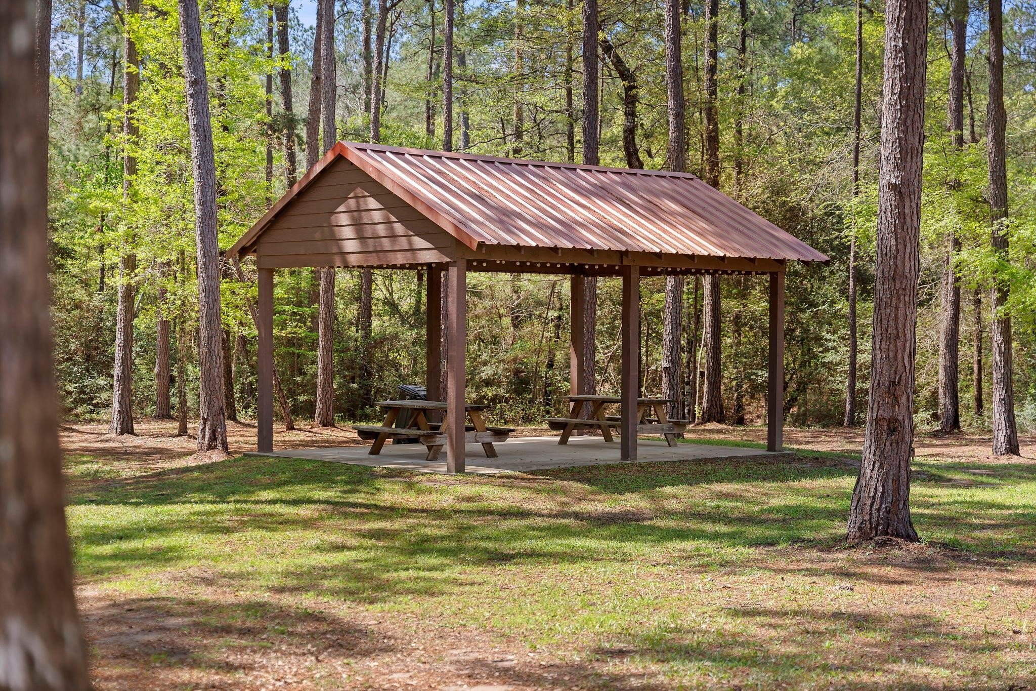 244 Remington Road Huntsville, TX 77340 - Photo 13 of 16