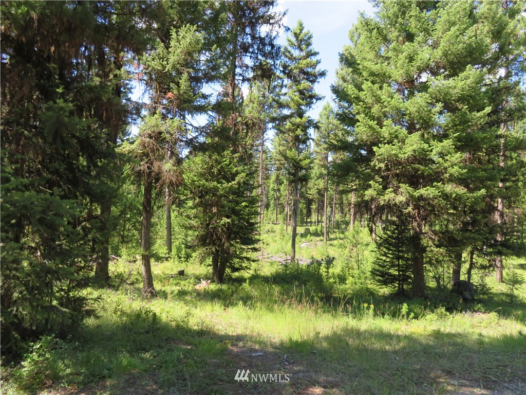 -tbd Gardner Creek Road Republic, WA 99166 - Photo 1 of 15