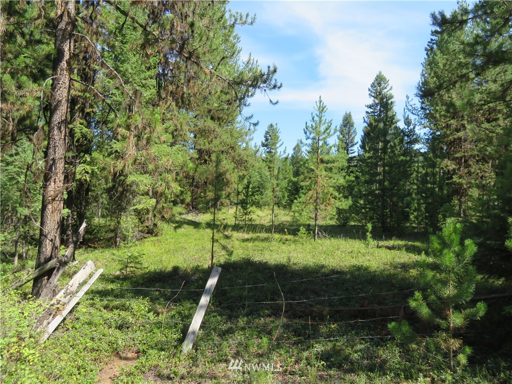 -tbd Gardner Creek Road Republic, WA 99166 - Photo 2 of 15