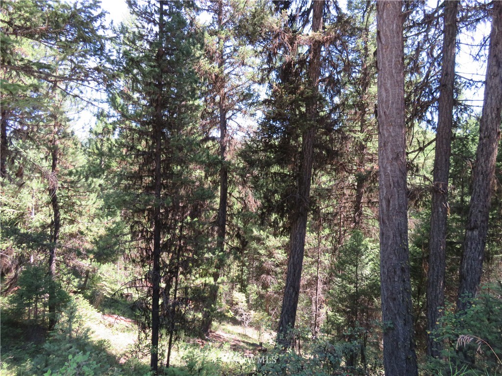 -tbd Gardner Creek Road Republic, WA 99166 - Photo 11 of 15