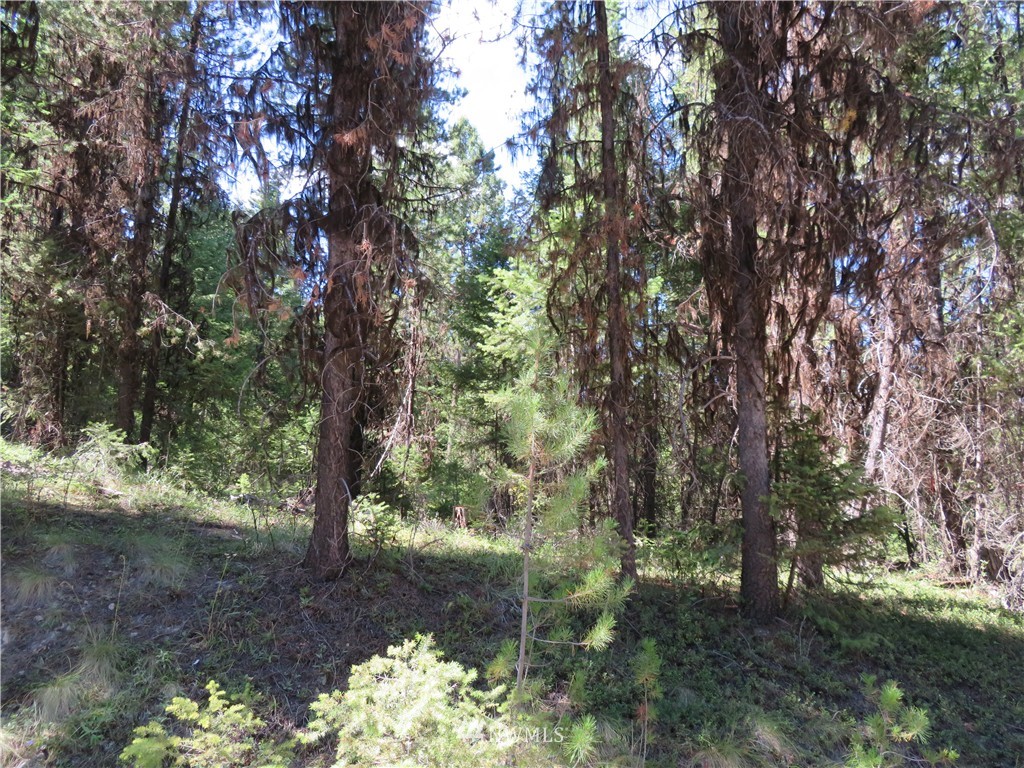 -tbd Gardner Creek Road Republic, WA 99166 - Photo 12 of 15