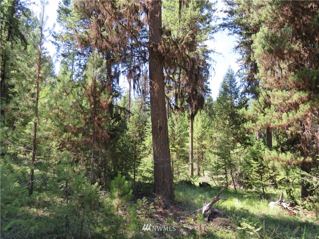-tbd Gardner Creek Road Republic, WA 99166 - Photo 13 of 15