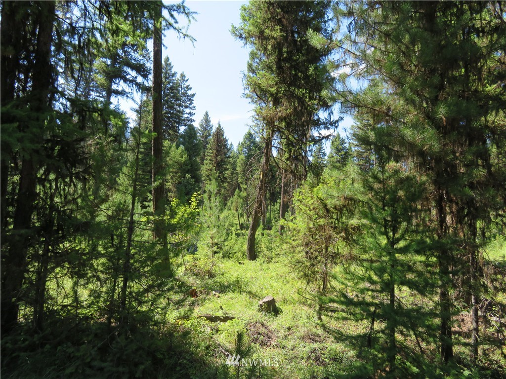 -tbd Gardner Creek Road Republic, WA 99166 - Photo 15 of 15