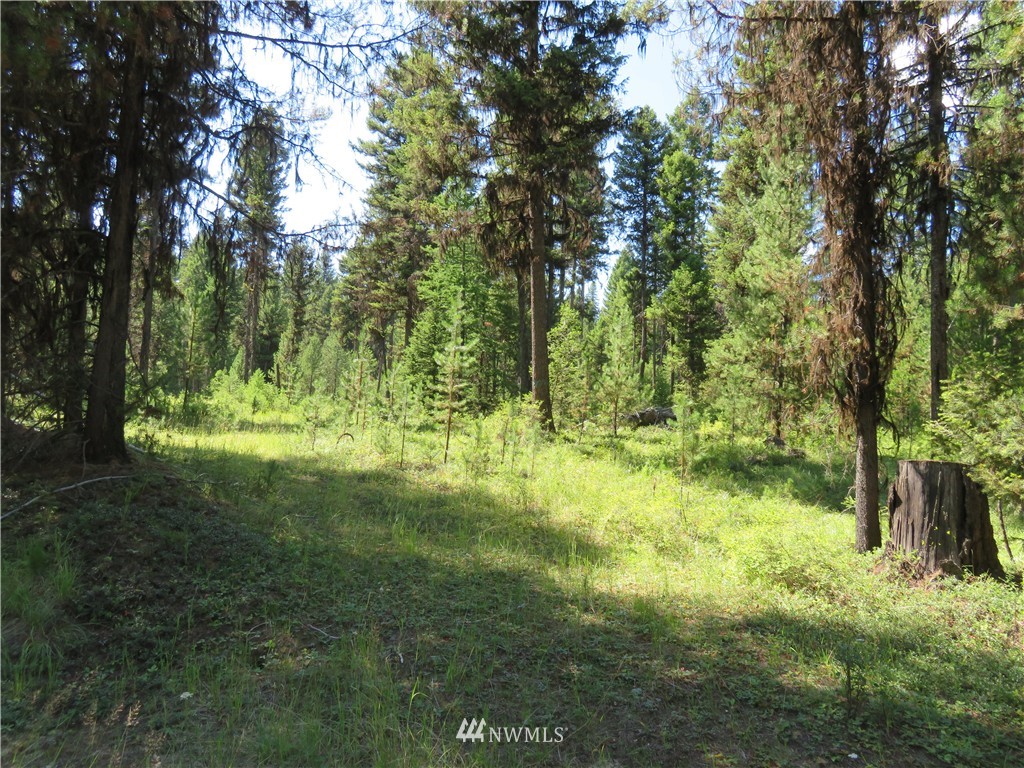 -tbd Gardner Creek Road Republic, WA 99166 - Photo 3 of 15