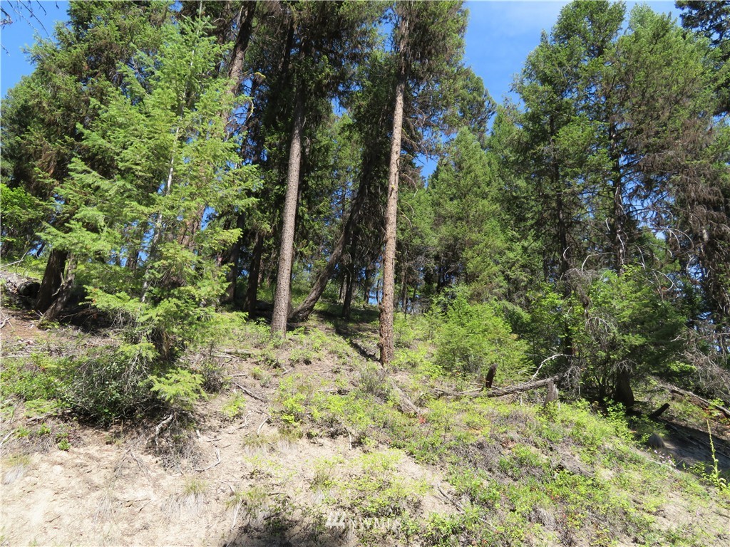 -tbd Gardner Creek Road Republic, WA 99166 - Photo 5 of 15