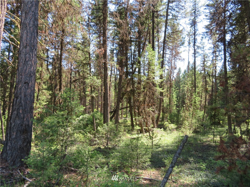 -tbd Gardner Creek Road Republic, WA 99166 - Photo 6 of 15