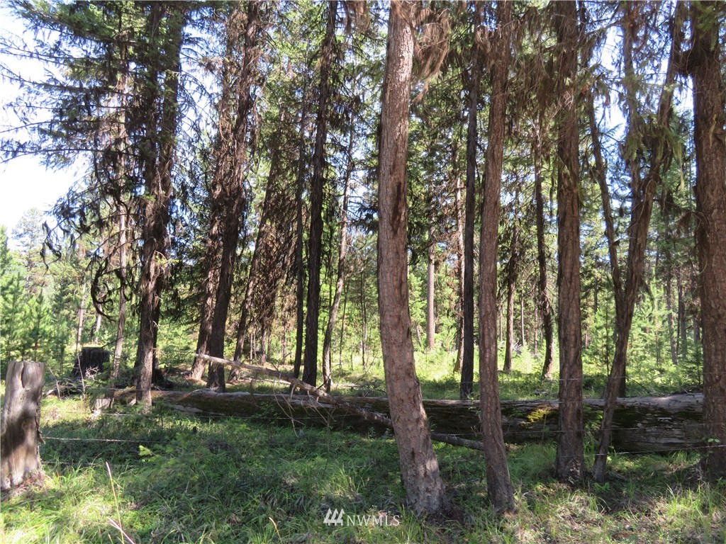 -tbd Gardner Creek Road Republic, WA 99166 - Photo 7 of 15