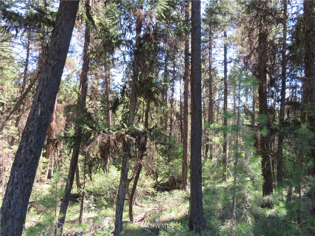-tbd Gardner Creek Road Republic, WA 99166 - Photo 8 of 15