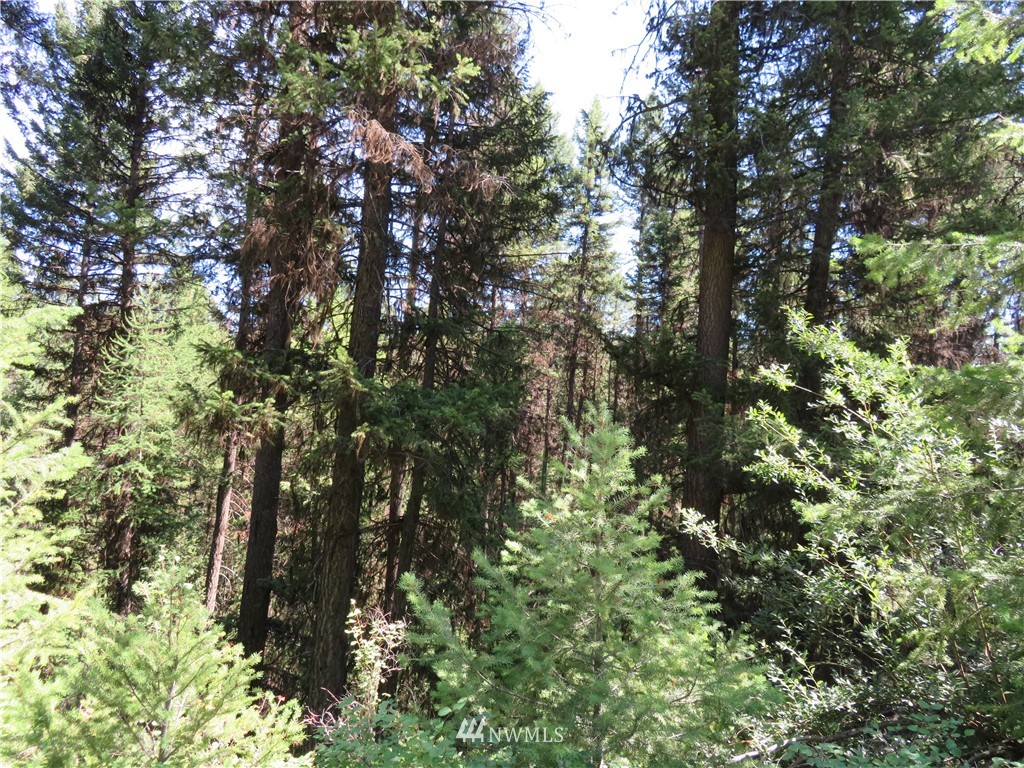 -tbd Gardner Creek Road Republic, WA 99166 - Photo 10 of 15