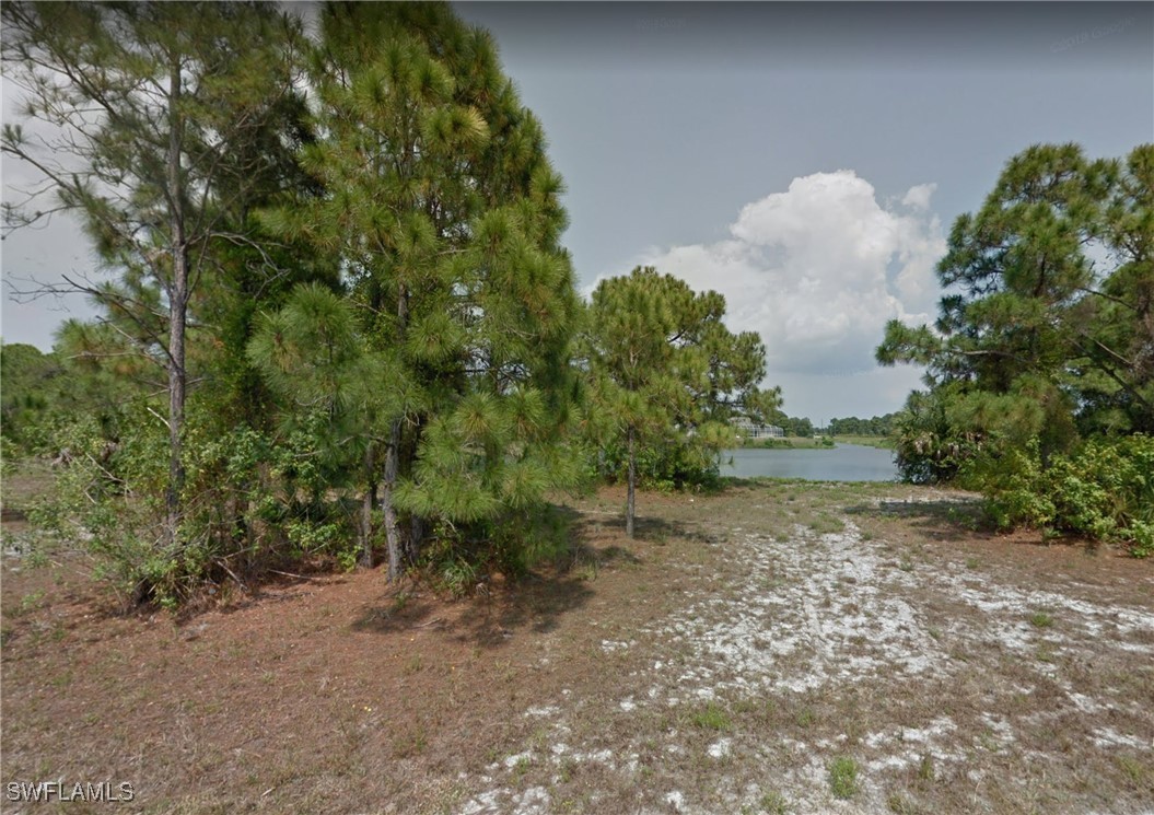 5 Cutter Road Placida, FL 33946 - Photo 3 of 7 a backyard of a house with lots of green space