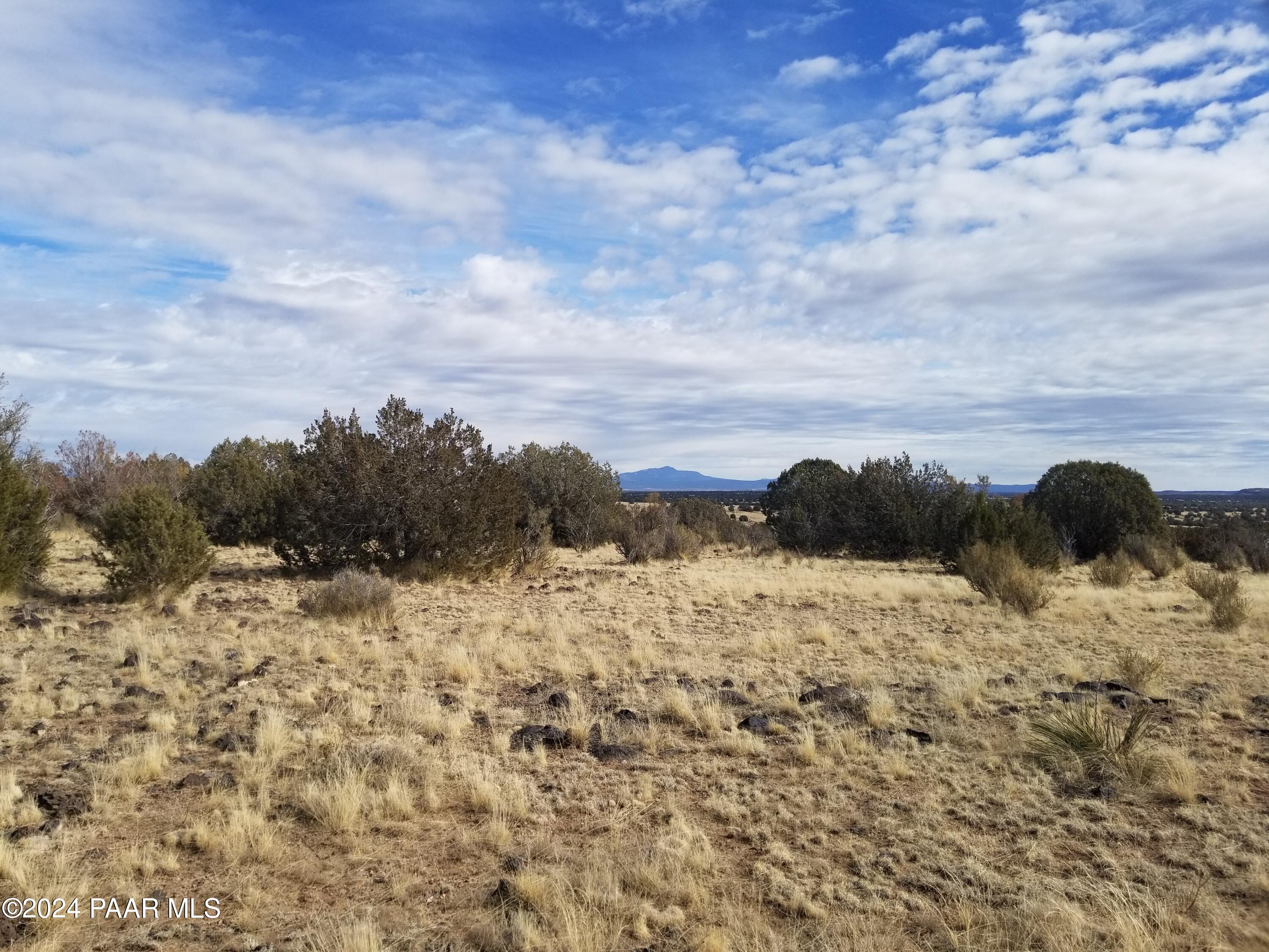 47 Mile High Road Ash Fork, AZ 86320 - Photo 6 of 10 11