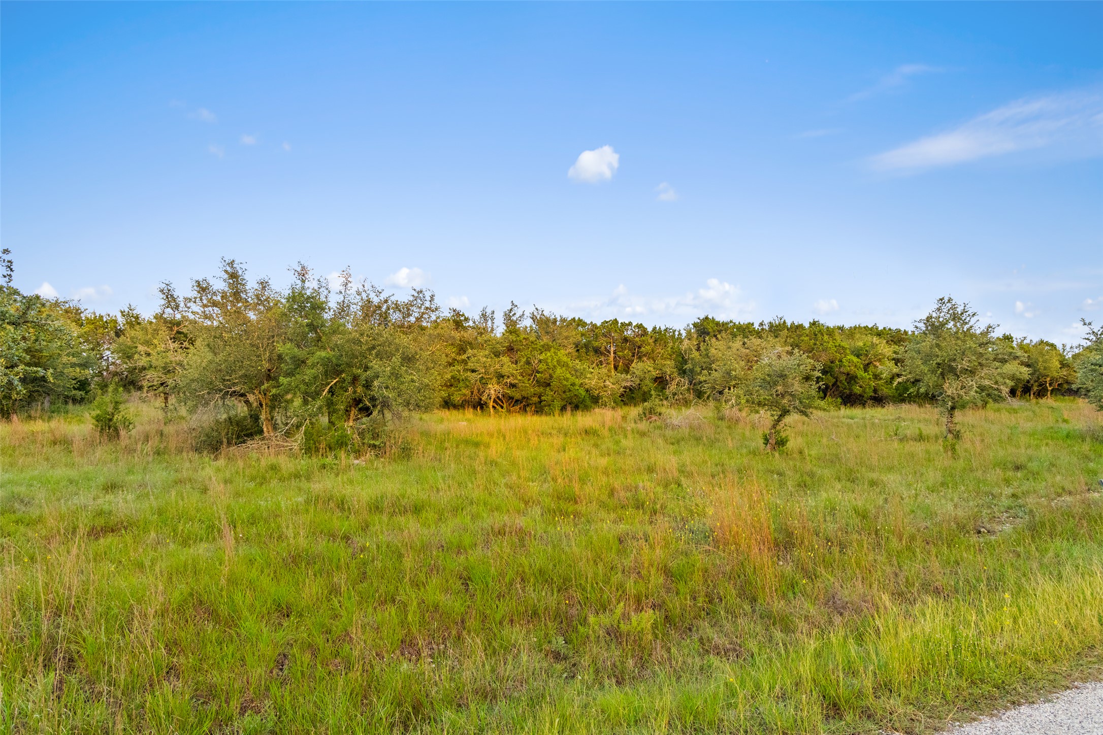 31890 Mirela Ann Road Dripping Springs, TX 78620 - Photo 7 of 13