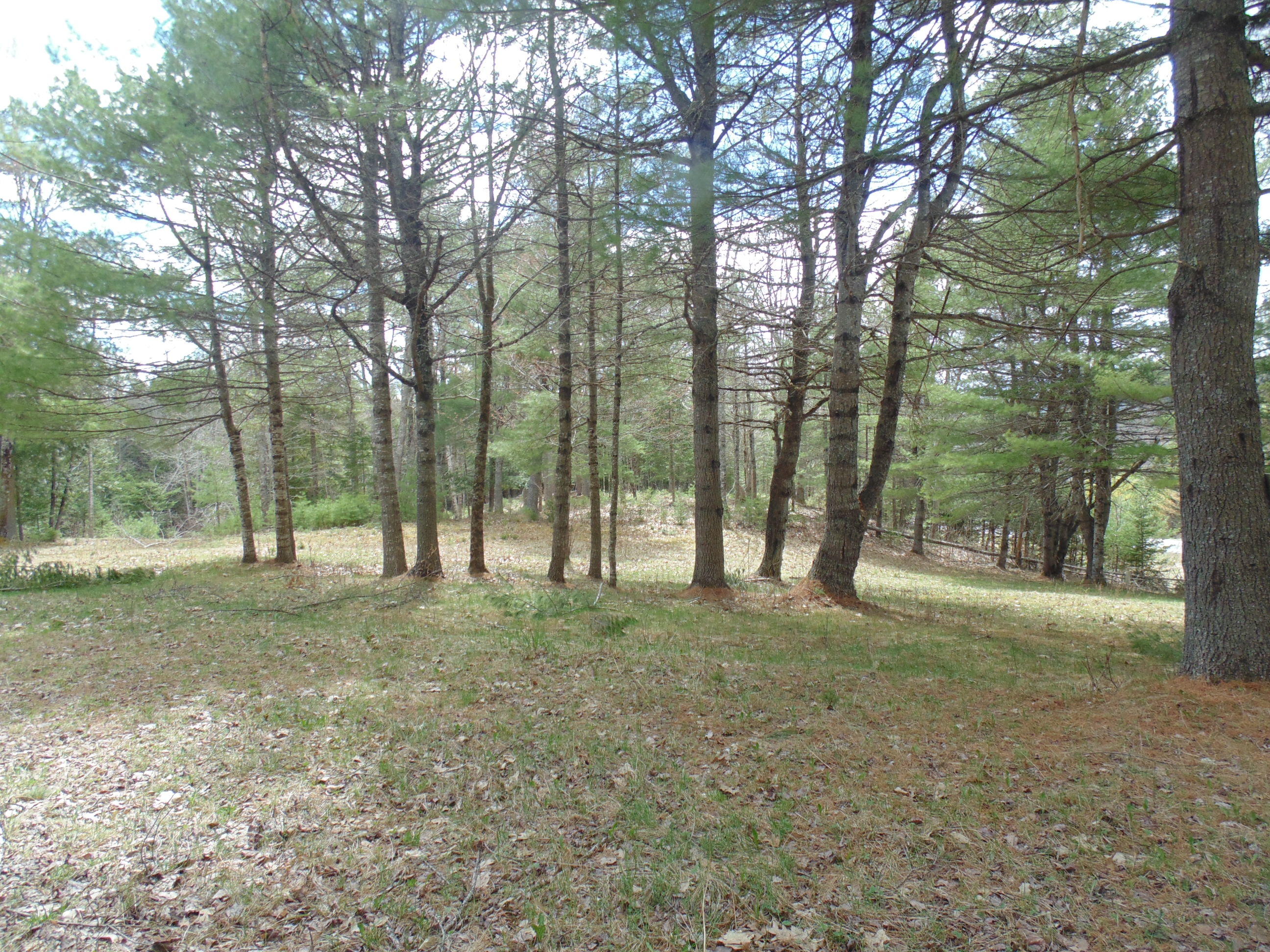 537 Airline Road Amherst, ME 04605 - Photo 54 of 57 DSC06079