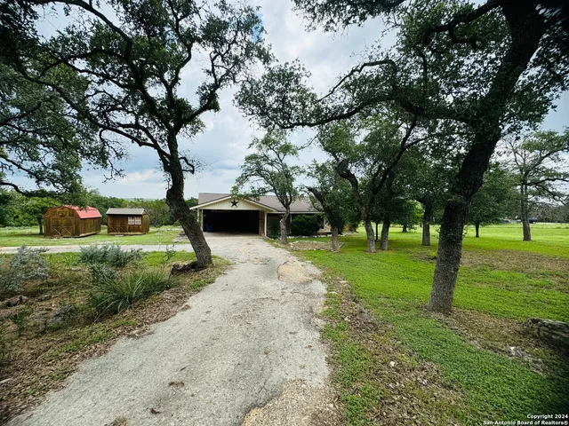 a view of a park with large trees