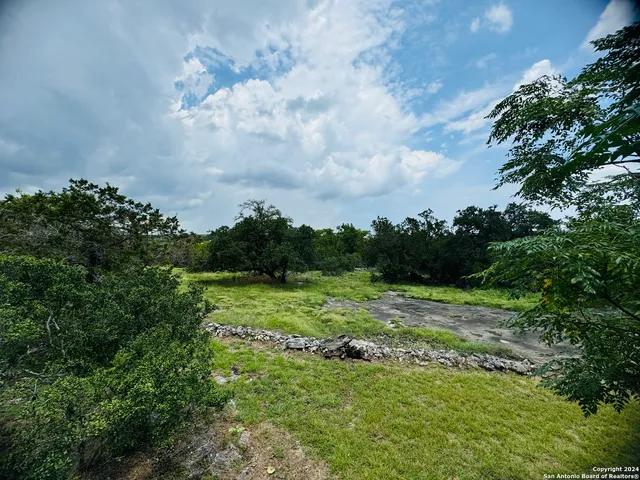 a view of a big yard with plants and large trees