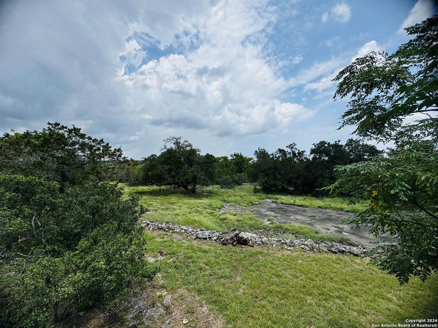 440 Cedar Springs Drive Spring Branch, TX 78070 - Photo 38 of 48 a view of a big yard with plants and large trees