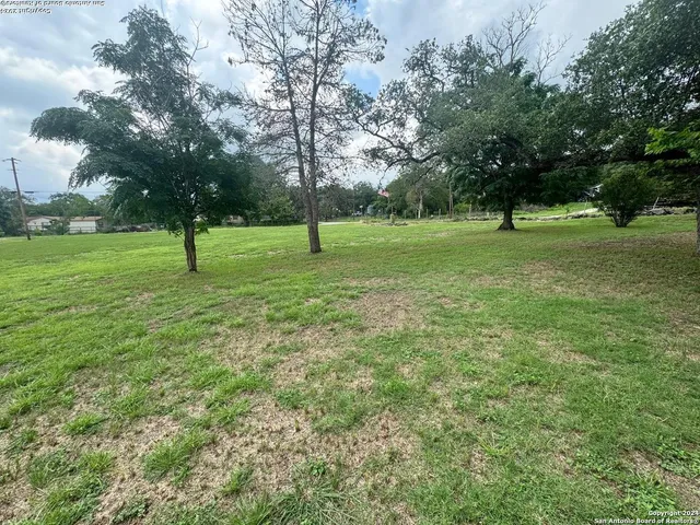 a view of a park with trees