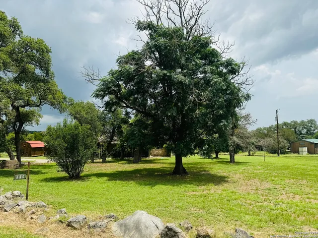 a view of a park with tree s