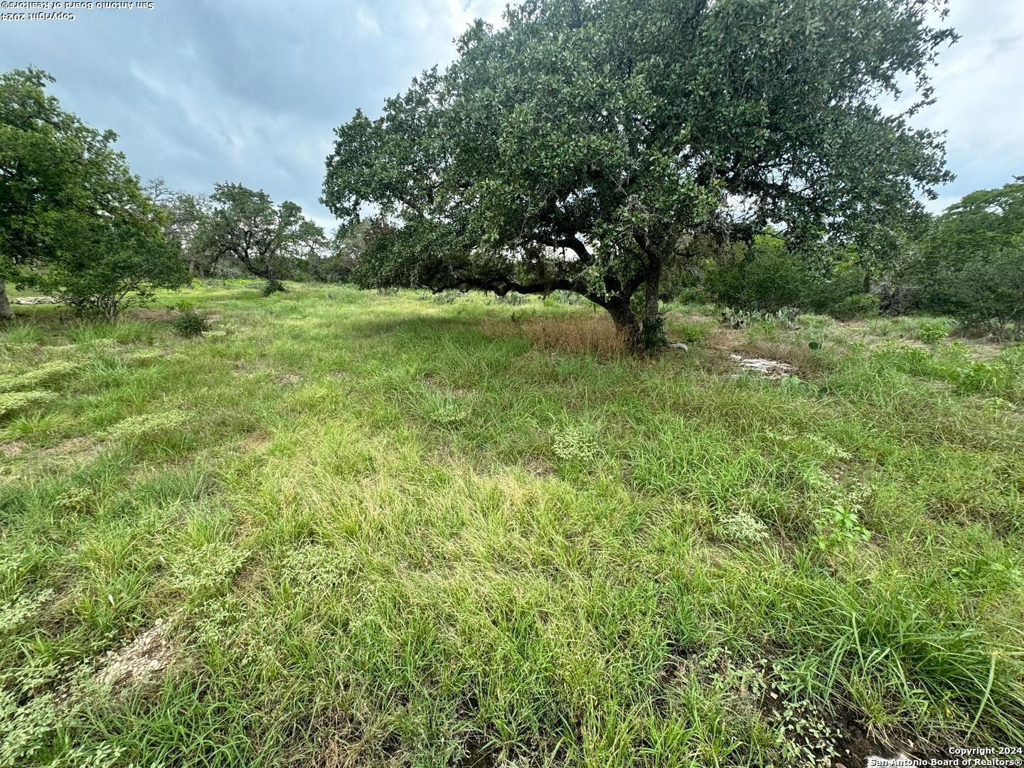 440 Cedar Springs Drive Spring Branch, TX 78070 - Photo 46 of 48 a view of a lush green space