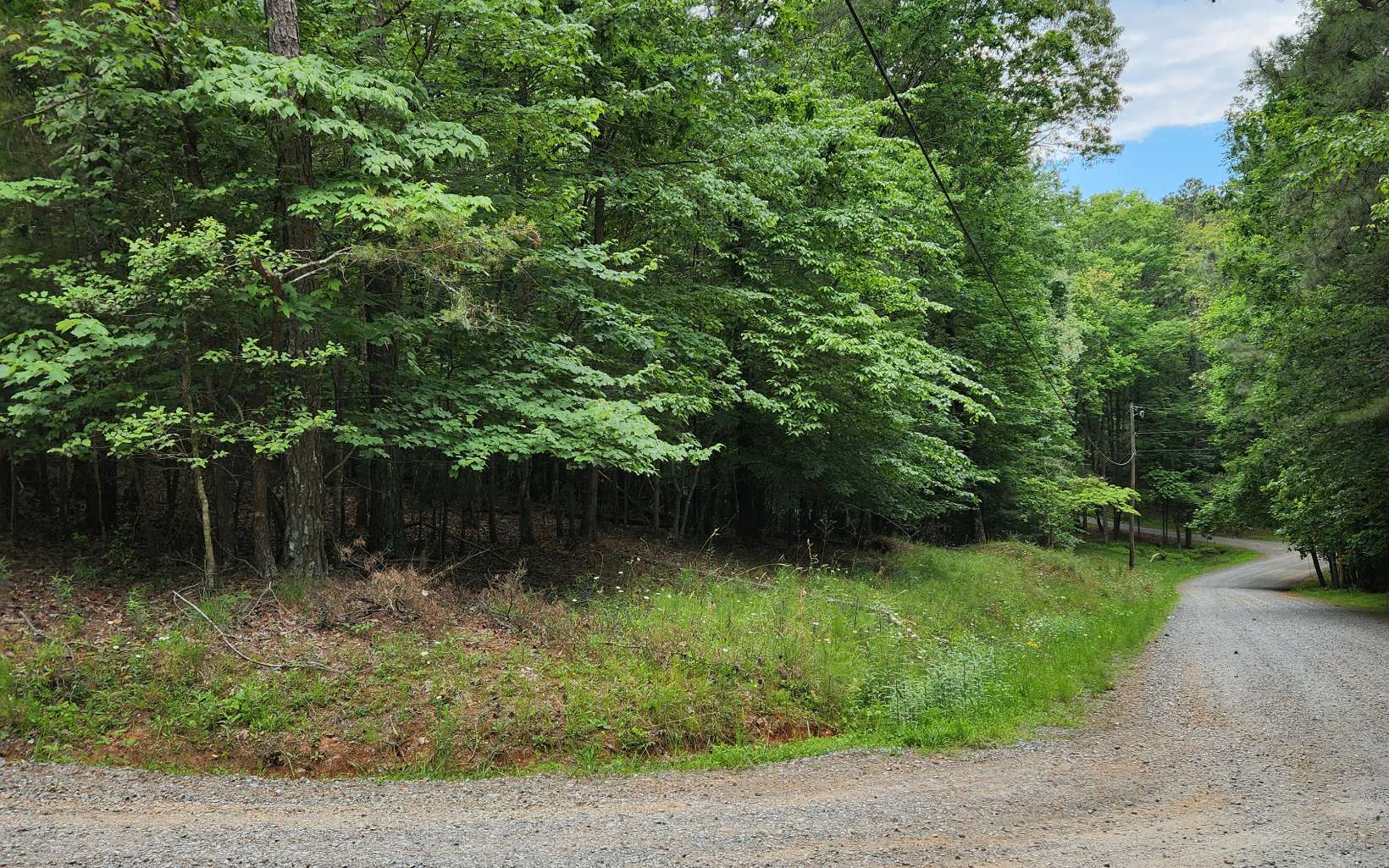 Acadia Drive Ellijay, GA 30540 - Photo 3 of 8 Additional View