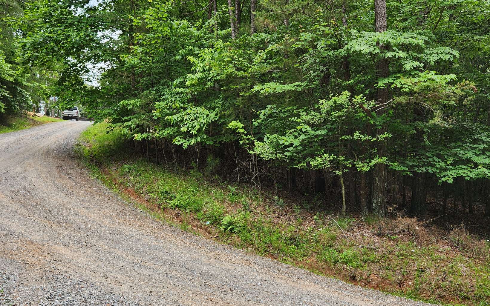 Acadia Drive Ellijay, GA 30540 - Photo 4 of 8 Additional View