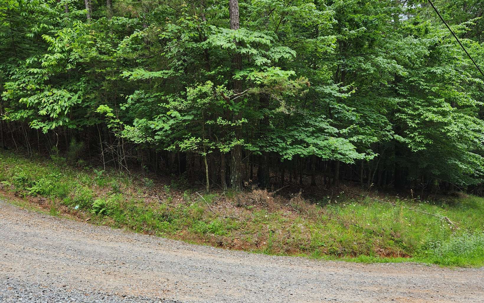 Acadia Drive Ellijay, GA 30540 - Photo 5 of 8 Additional View