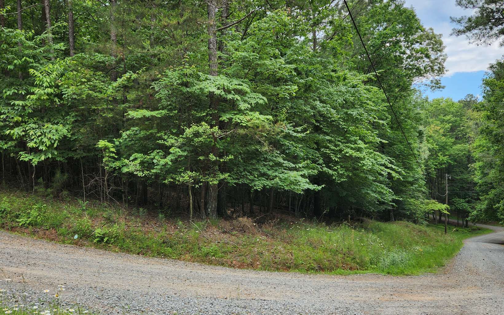 Acadia Drive Ellijay, GA 30540 - Photo 6 of 8 Additional View