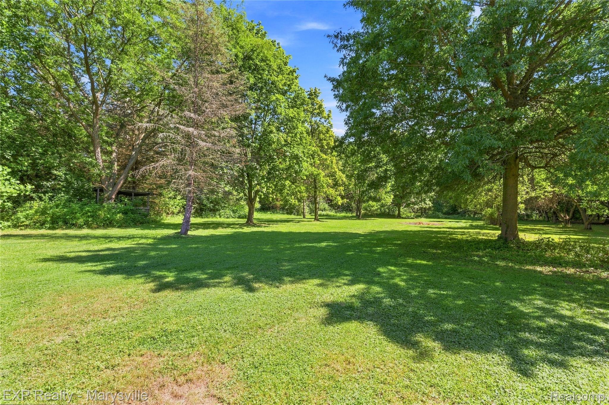 13739 Yale Road Yale, MI 48097 - Photo 39 of 50 Expansive lawn area with mature trees and natural landscaping