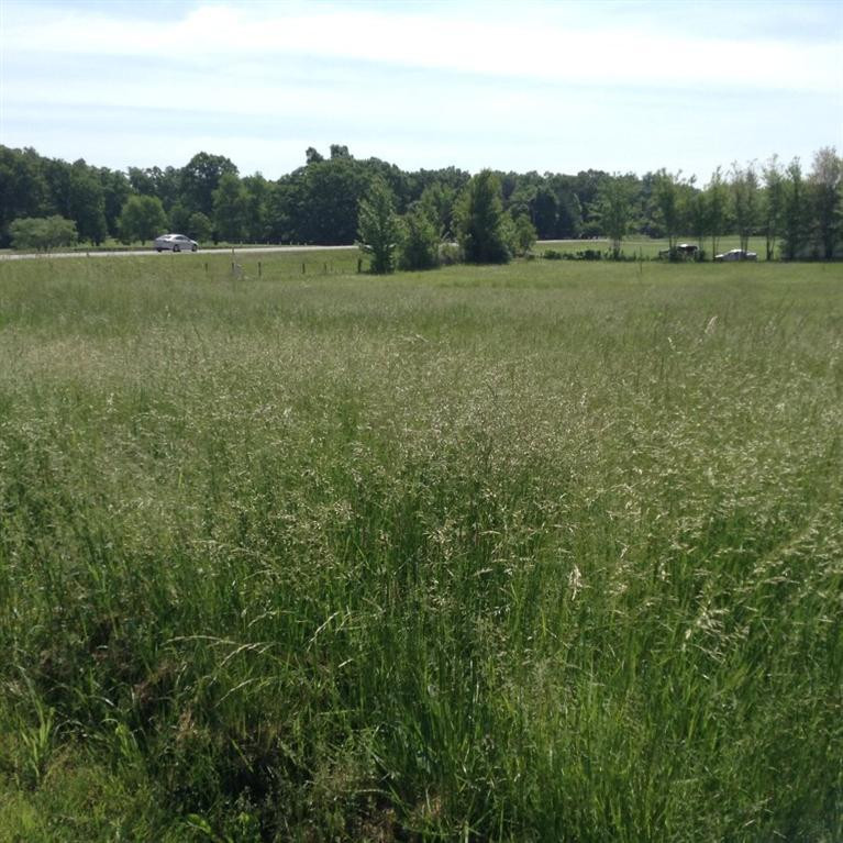 89 Bybee Loop Road Waco, KY 40385 - Photo 4 of 9 Photo 4