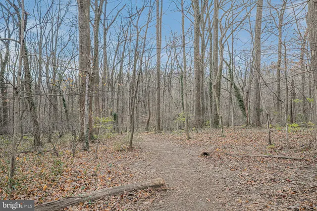 a front view of a building