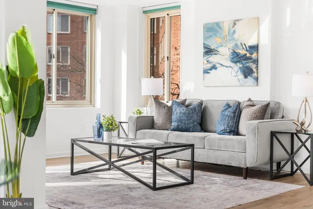 a living room with furniture and a potted plant