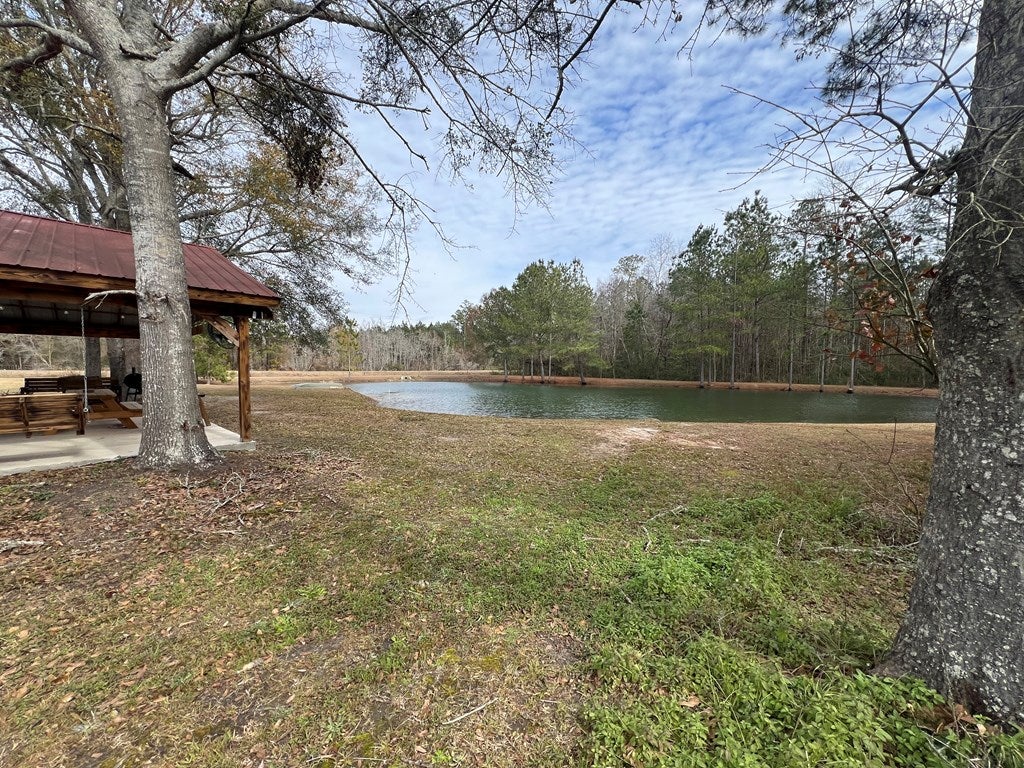 900 Benton Road Ochlocknee, GA 31773 - Photo 20 of 33 Gallery Image 20
